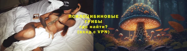 гашик Балахна