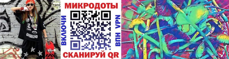 Галлюциногенные грибы прущие грибы  Зима 